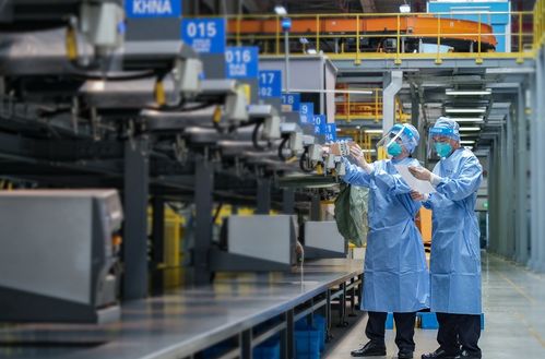 上海外貿(mào)韌性強(qiáng)勁 上半年走出V型修復(fù)態(tài)勢，國內(nèi)貿(mào)易代理持續(xù)發(fā)力